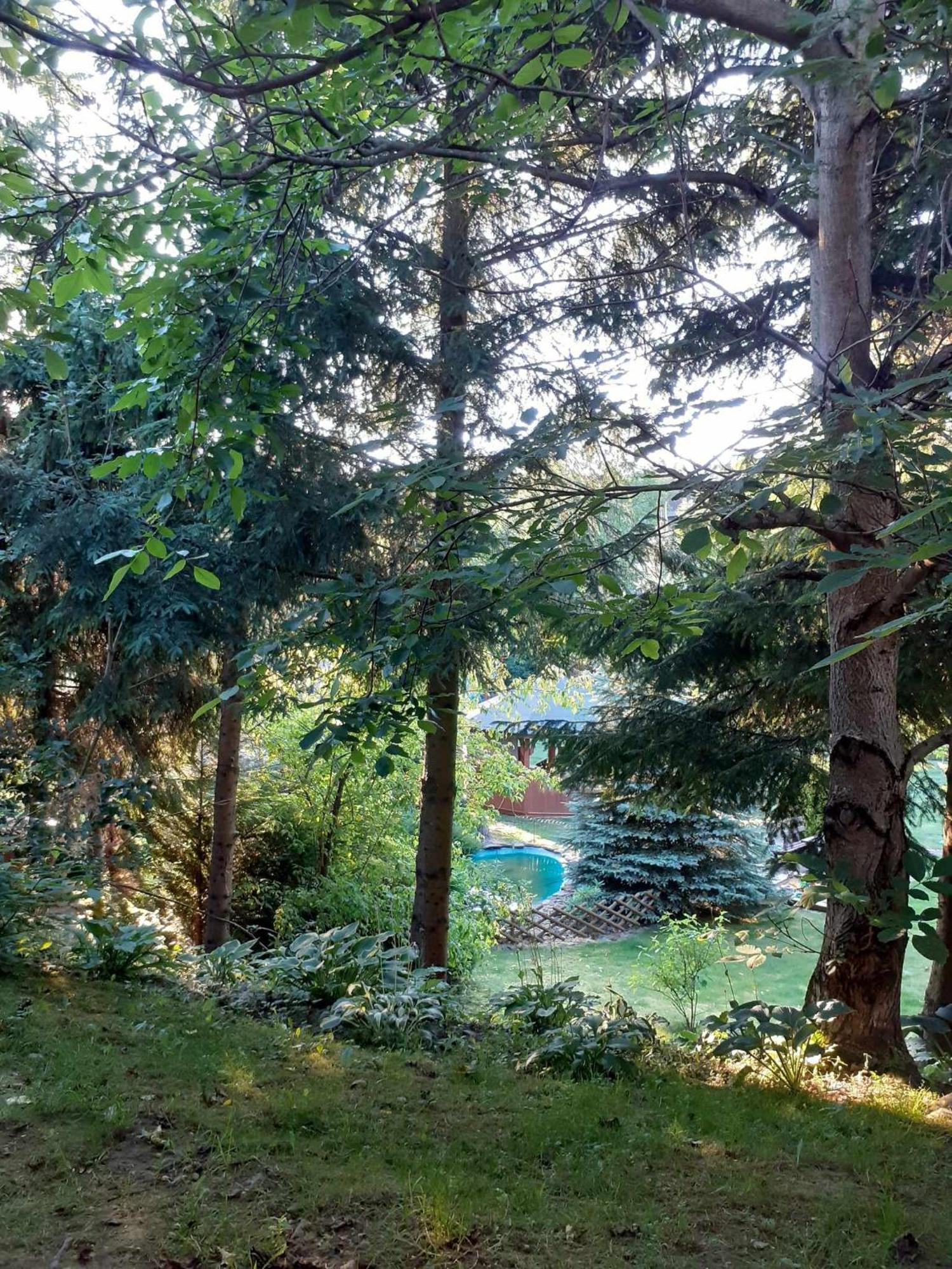 Agroturystyka Jagodowa Roza - Maria Farganus Mszana Dolna Esterno foto